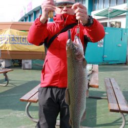 としまえんフィッシングエリア 釣果