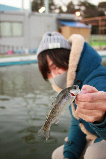 としまえんフィッシングエリア 釣果