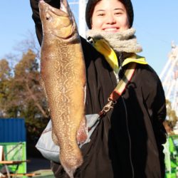 としまえんフィッシングエリア 釣果