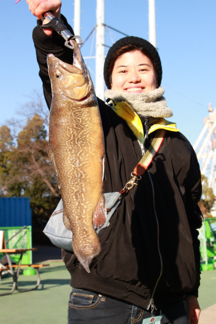 としまえんフィッシングエリア 釣果