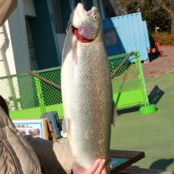 としまえんフィッシングエリア 釣果