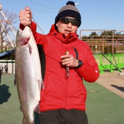 としまえんフィッシングエリア 釣果