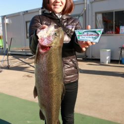 としまえんフィッシングエリア 釣果