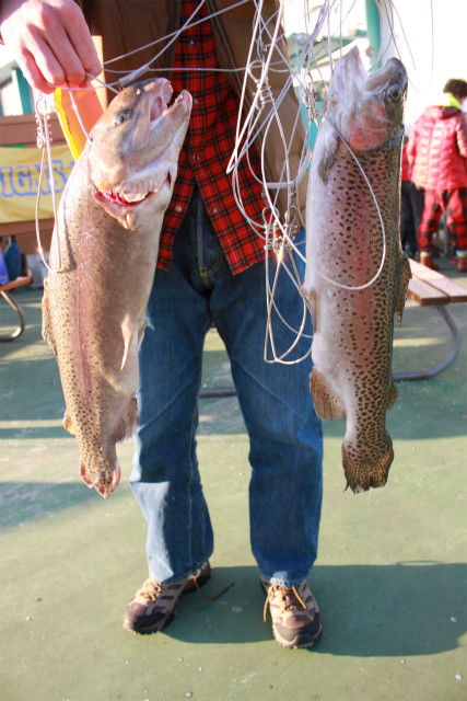 としまえんフィッシングエリア 釣果