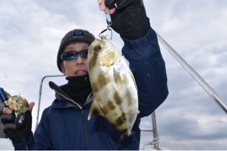 渡船屋たにぐち 釣果