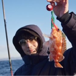 渡船屋たにぐち 釣果