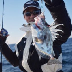 渡船屋たにぐち 釣果