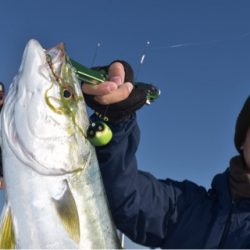 渡船屋たにぐち 釣果