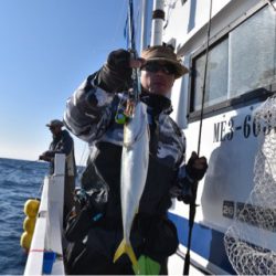 渡船屋たにぐち 釣果