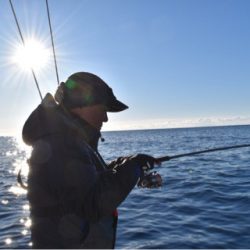 渡船屋たにぐち 釣果