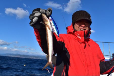 渡船屋たにぐち 釣果