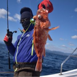 渡船屋たにぐち 釣果