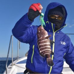 渡船屋たにぐち 釣果