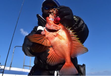 渡船屋たにぐち 釣果