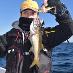 渡船屋たにぐち 釣果