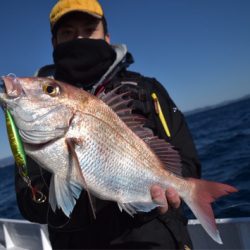 渡船屋たにぐち 釣果