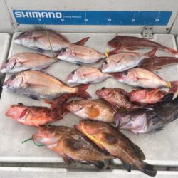 末広丸(熊本) 釣果