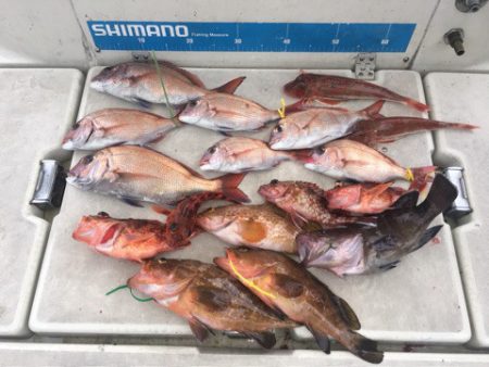 末広丸(熊本) 釣果