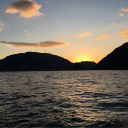 末広丸(熊本) 釣果