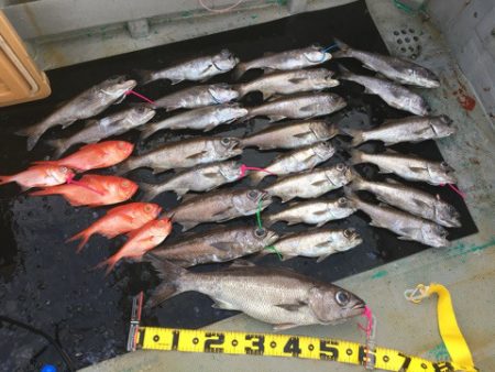 ＴＡＲＯＭＡＲＵ 釣果