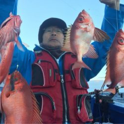 敷嶋丸 釣果
