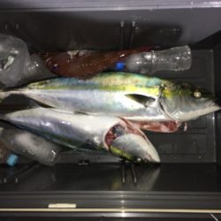 第二八坂丸 釣果