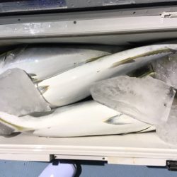 第二八坂丸 釣果