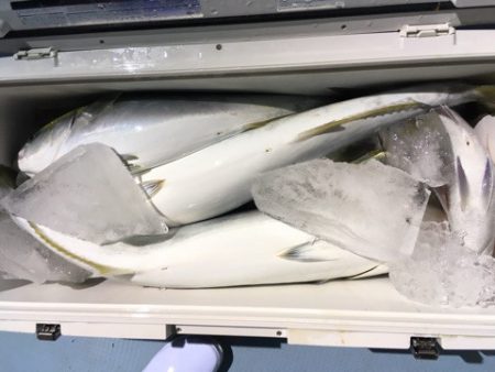 第二八坂丸 釣果