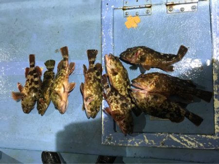 ヤザワ渡船 釣果