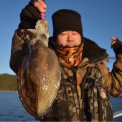 渡船屋たにぐち 釣果