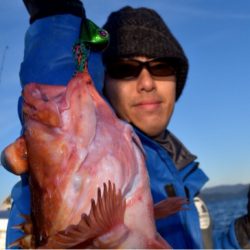 渡船屋たにぐち 釣果