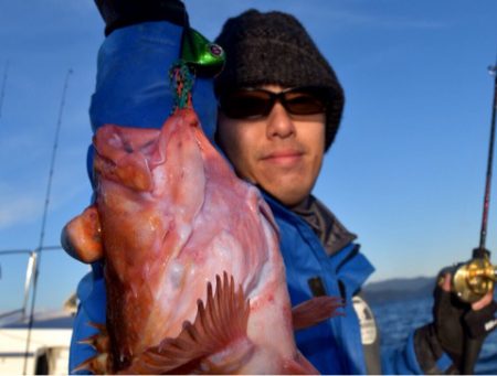 渡船屋たにぐち 釣果