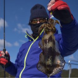 渡船屋たにぐち 釣果