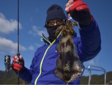 渡船屋たにぐち 釣果
