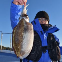 渡船屋たにぐち 釣果