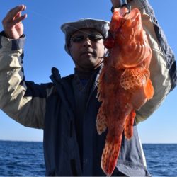 渡船屋たにぐち 釣果