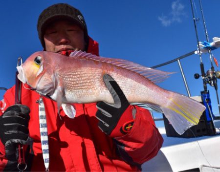 渡船屋たにぐち 釣果