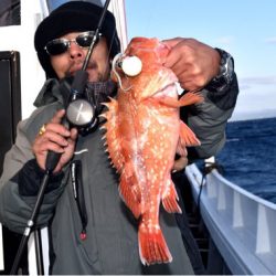 渡船屋たにぐち 釣果