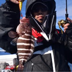 渡船屋たにぐち 釣果