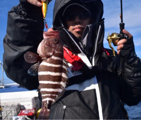 渡船屋たにぐち 釣果