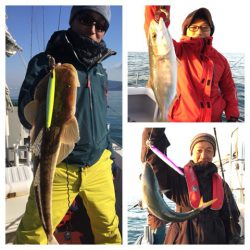 ビッグファイター 釣果