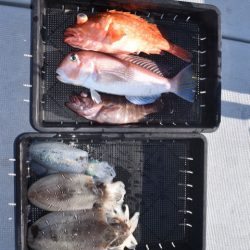 渡船屋たにぐち 釣果