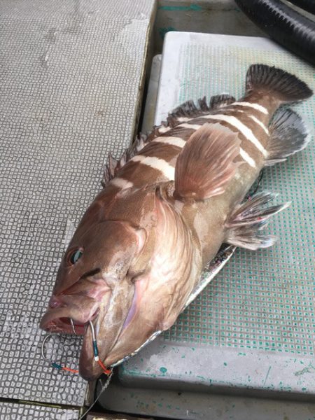 ＴＡＲＯＭＡＲＵ 釣果