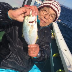 丸万釣船 釣果