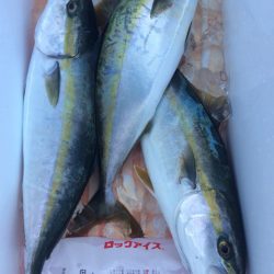 豊和丸 釣果