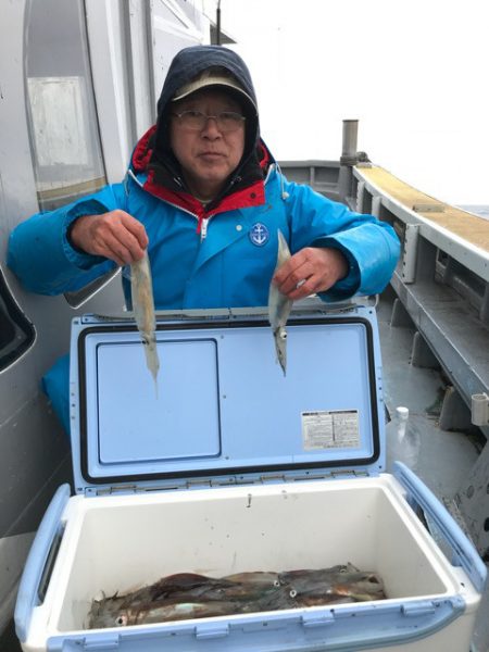 シーランチ 釣果