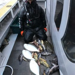 シーランチ 釣果