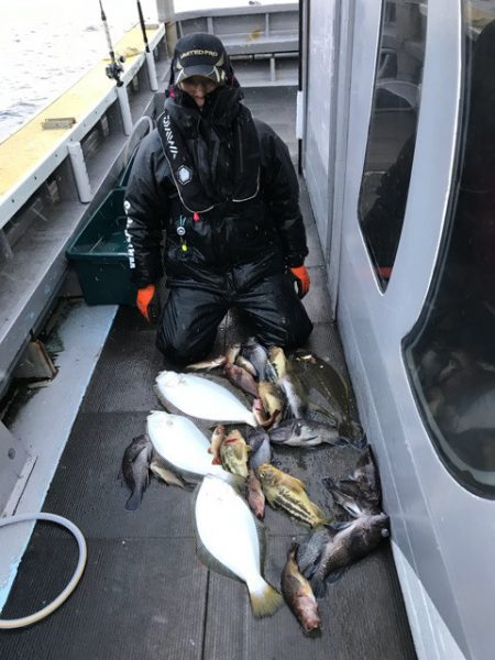 シーランチ 釣果