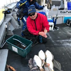 シーランチ 釣果