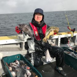 シーランチ 釣果